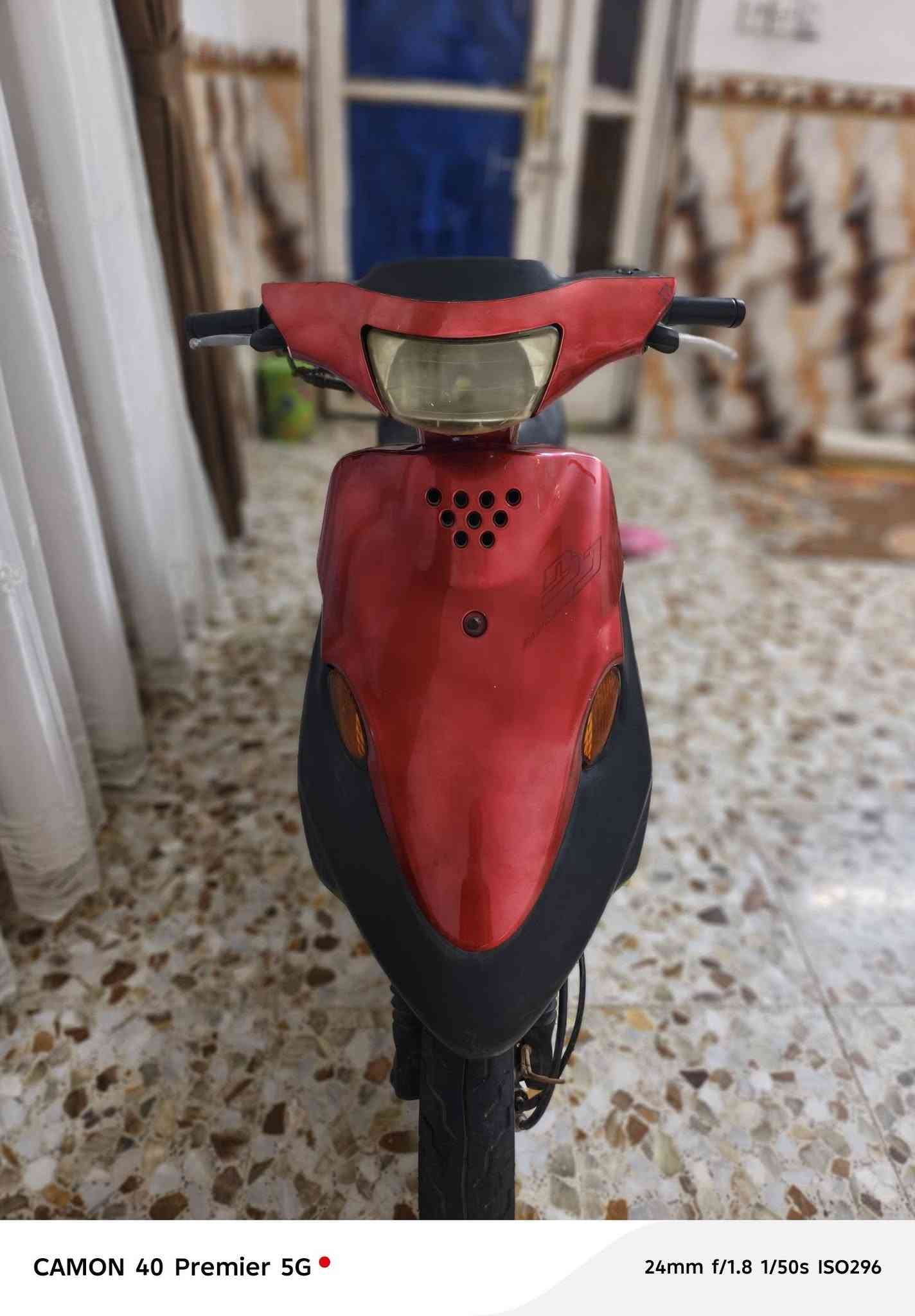 بيجي • ماروني • يحتاج سلف