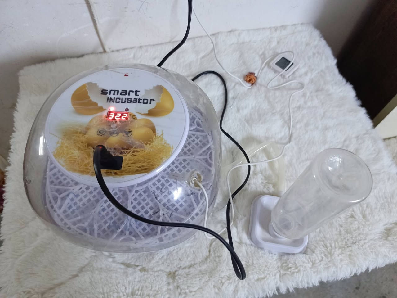فقاسة • ١٢ بيضة • ٥٦ بيضة