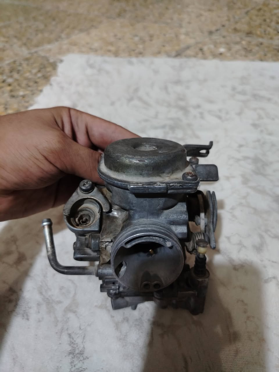 سلام عليك كابريترات 140 عام
1 عدي كابريتر ثعلب جيتي ار او جيتي ار
2 كابريتر سكنس من شركه TMMP
3 كابريتر سكنس تجاري
المكان بغداد مدينه صدر رقم ***********
