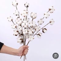 اغصان قطن • مظهر ريفي • جملة ومفرد