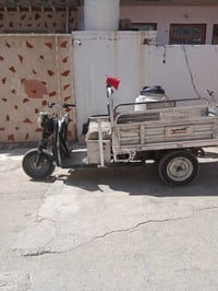 ستوتة • شحن • للبيع