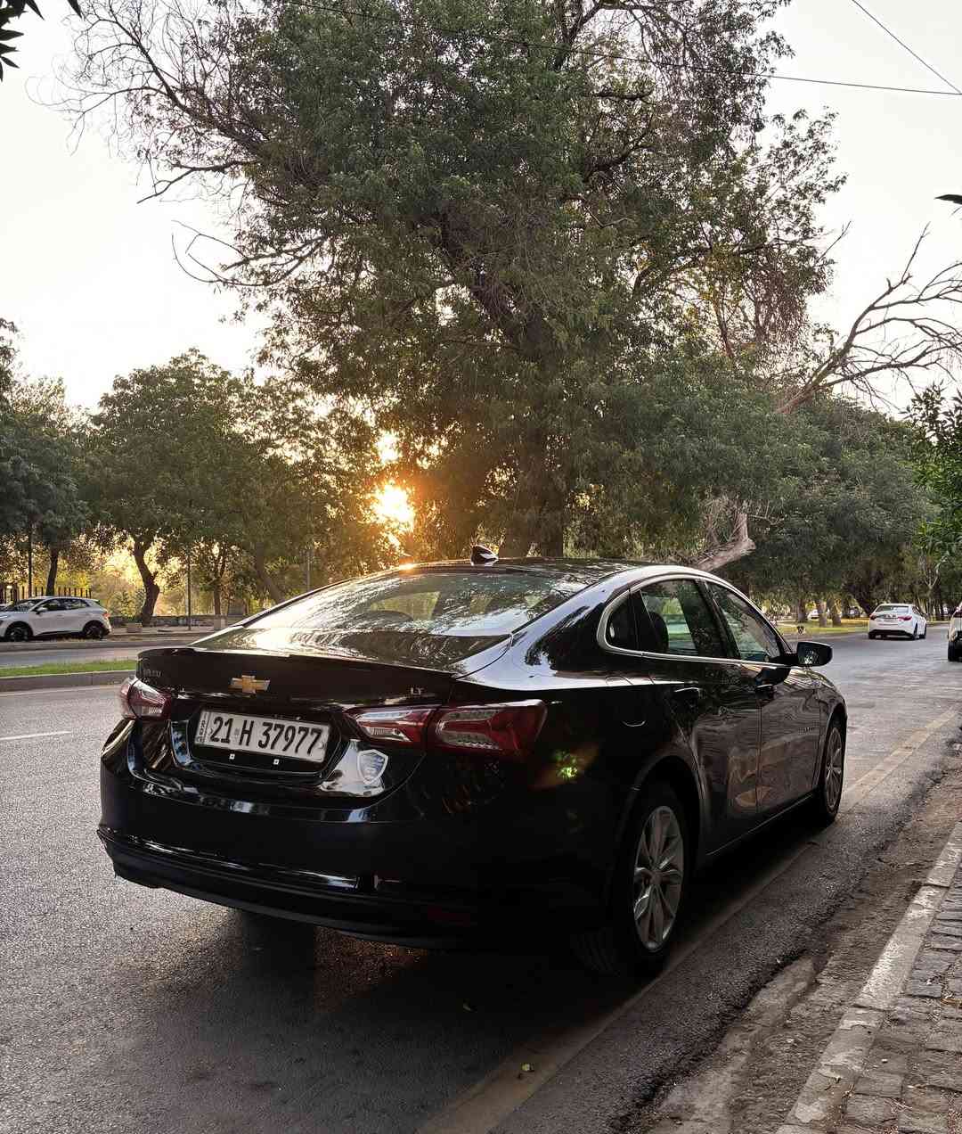 ماليبو
للبيع فقط
ماليبو  موديل ٢٠٢٠
محرك ١٥٠٠ توربو
كير/ مكينة/ كهربائيات/ صدر/ كله مكفول 
سيارة كاملة  لا حماوة ولا اي مشاكل.. كلشي متصرف عليها
ماشية ١١٢ الف كيلو
تشغيل عن بعد
تبريد قطعتين ثلج
كروس سرعة
شاشة كبيرة ١٠ انج كار بلي
تدفئة كراسي

مكان السيارة / بغداد - الامين ***********

السعر ١٠٥ وبيها مجال قليل
