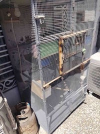 برج طيور • طيور حب • بغداد زعفرانية