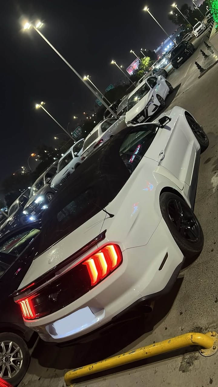 موستنك ايكو بوست • ٢٠١٨ • رقم اربيل
