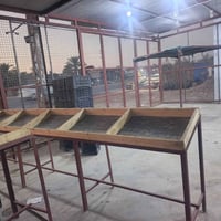 ميوزة • مخضر • ٦ قطع