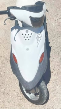 بيجي • فحل • نضيفة