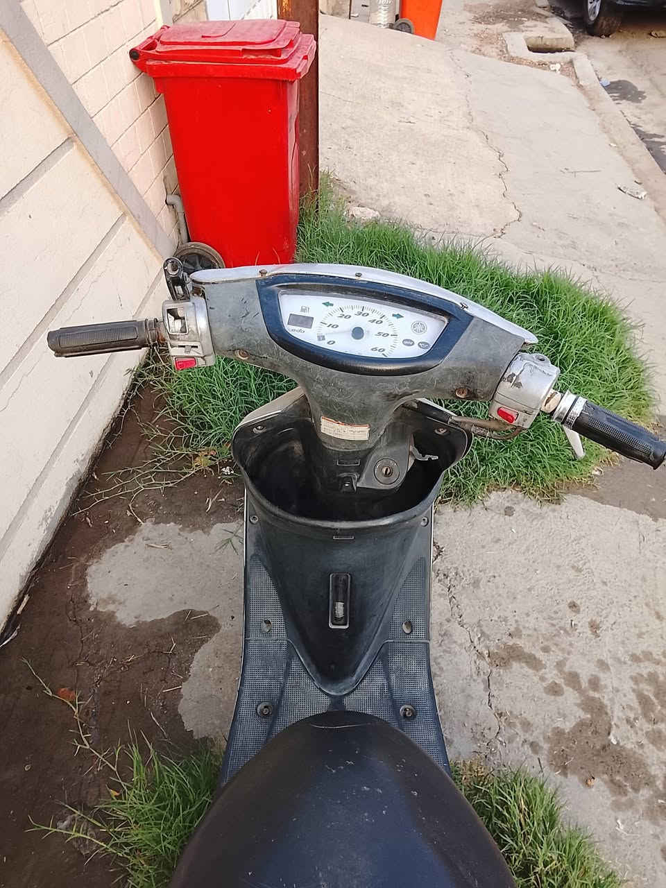 عصفورية • ٦٠ • كابريتر