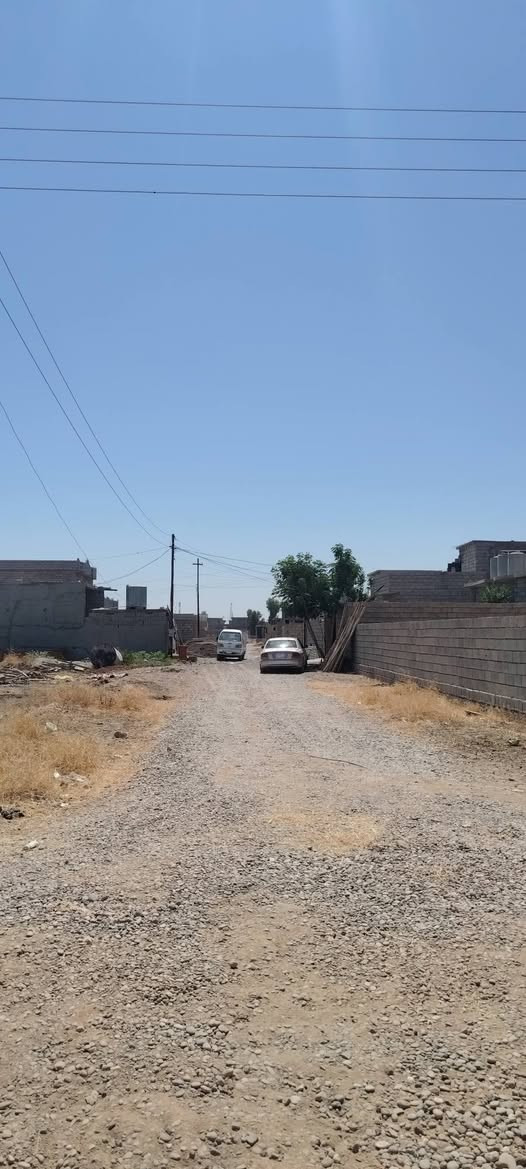 🏡 هيكل البيع– موقع مميز

السلام عليكم 🌹

📍 الموقع: خلف الخضر بكياعين الملالي وقريب ع جامع الجديد
📐 المساحة: 125متر
💧⚡ الخدمات: ماء وكهرباء واصل
💰 السعر: 15مليون وبيه مجال

📞 للاستفسار:***********
📩 أو تفضلوا خاص

🏠 شعندك للبيع؟ بيت أو قطعة أرض، تفضل خاص.
