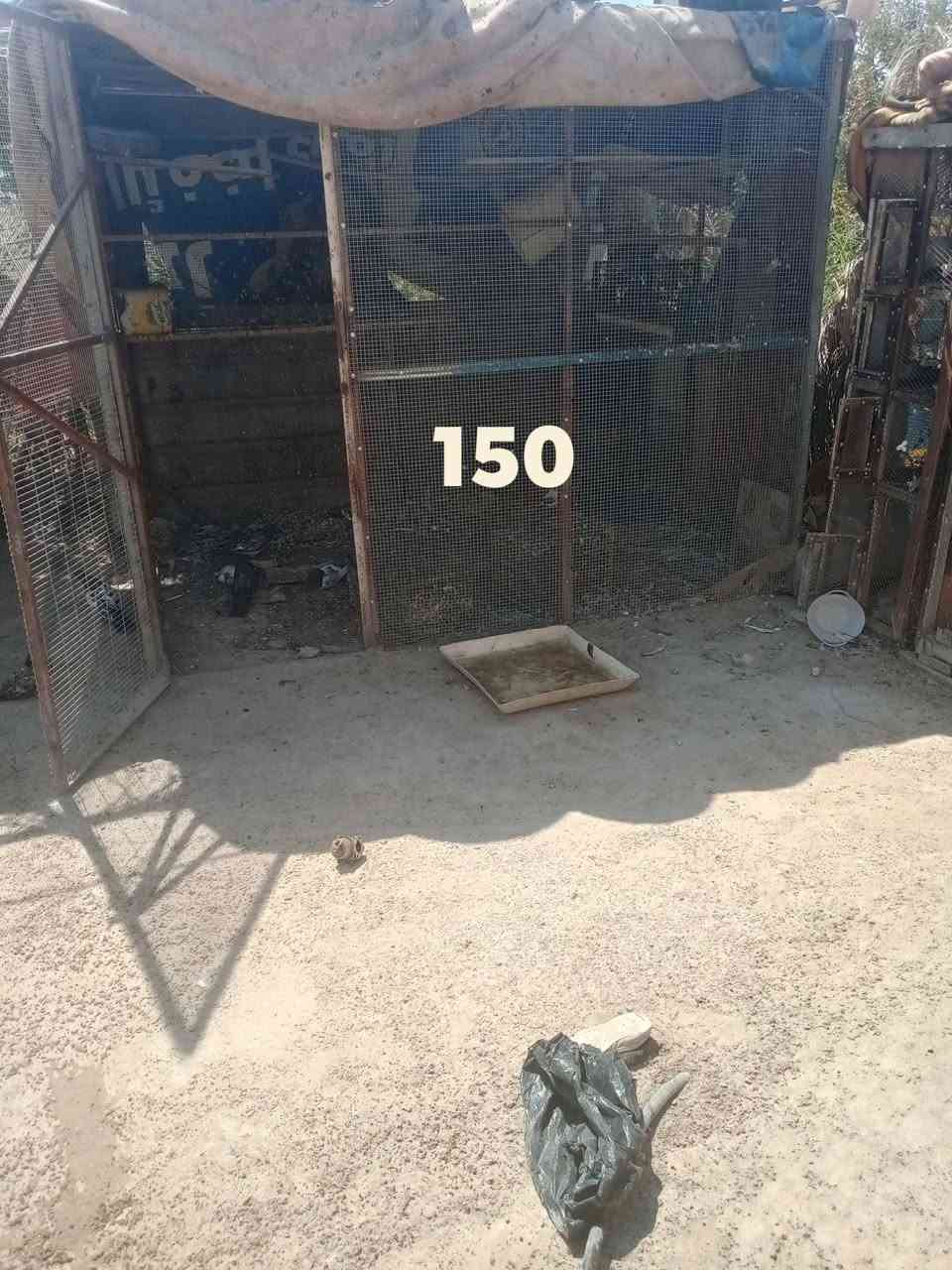 قفص كبير وخانات ثنين للاستفسار ‏‪***********‬‏
