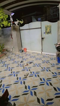 طابو زراعي • ٢٥٠م • محيزم ٤