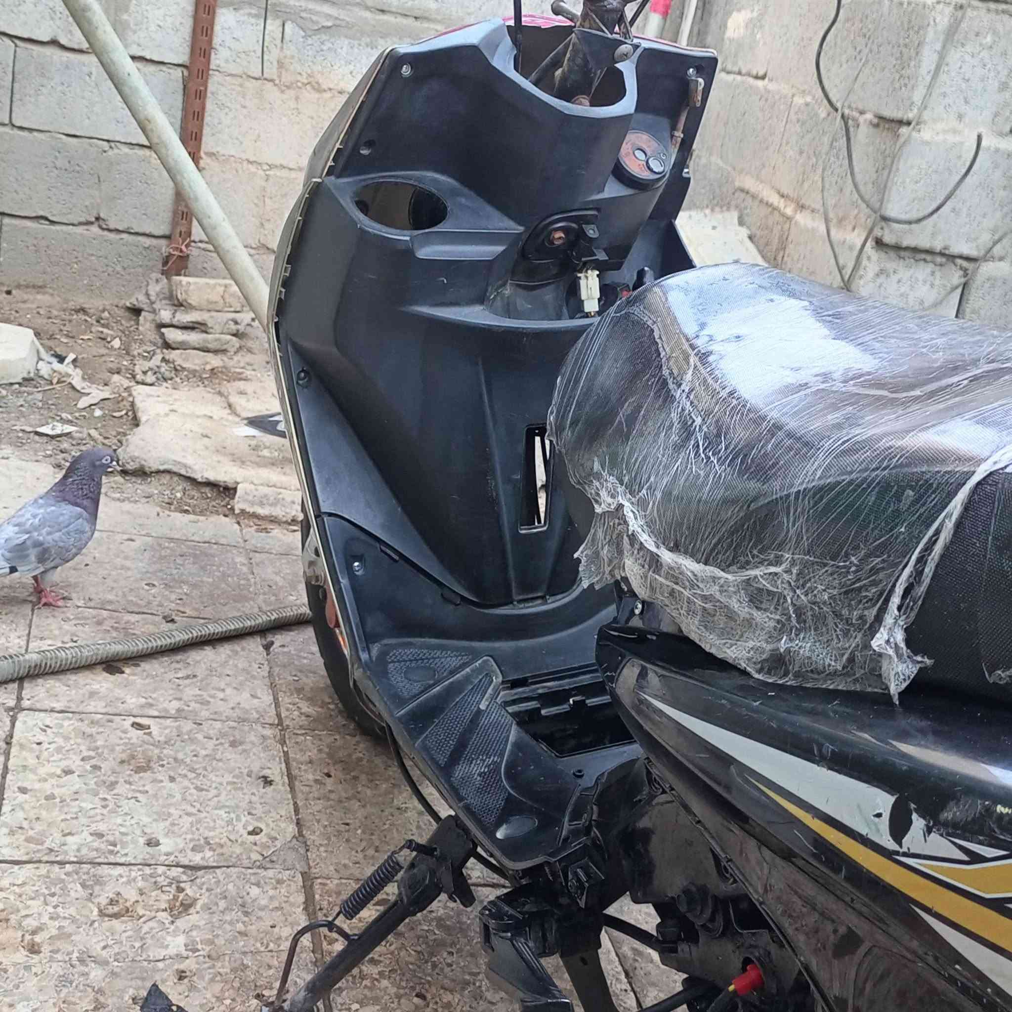 سلام وعليكم للبيع دراجه ماكس أف اس قيم واخذ رقمي *********** يرادلها عرموطه مال هندر ملاحظه متروكه هم ماكاني بصره شط العرب تنومه
