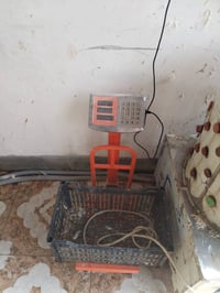 محل دجاج • أغراض كاملة • للبيع