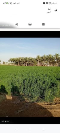 ناحية النيل • ٤ دونم • طابو زراعي