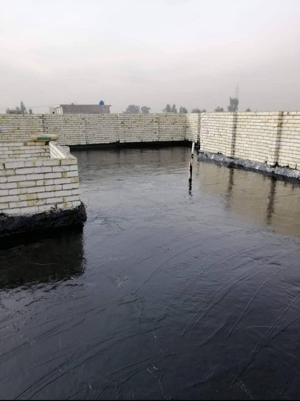 ابو حيدر  تعلن سكله المنكوشي البيع الكير الدرجه الاولى في محافظة كربلاء اتصال على رقام تاليه *********** 📞📞///***********
