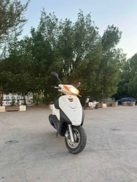 اكسز تريت • نوزل خطين • ١/١