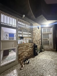 محزم الرابع • ١٠٠م • وجهين