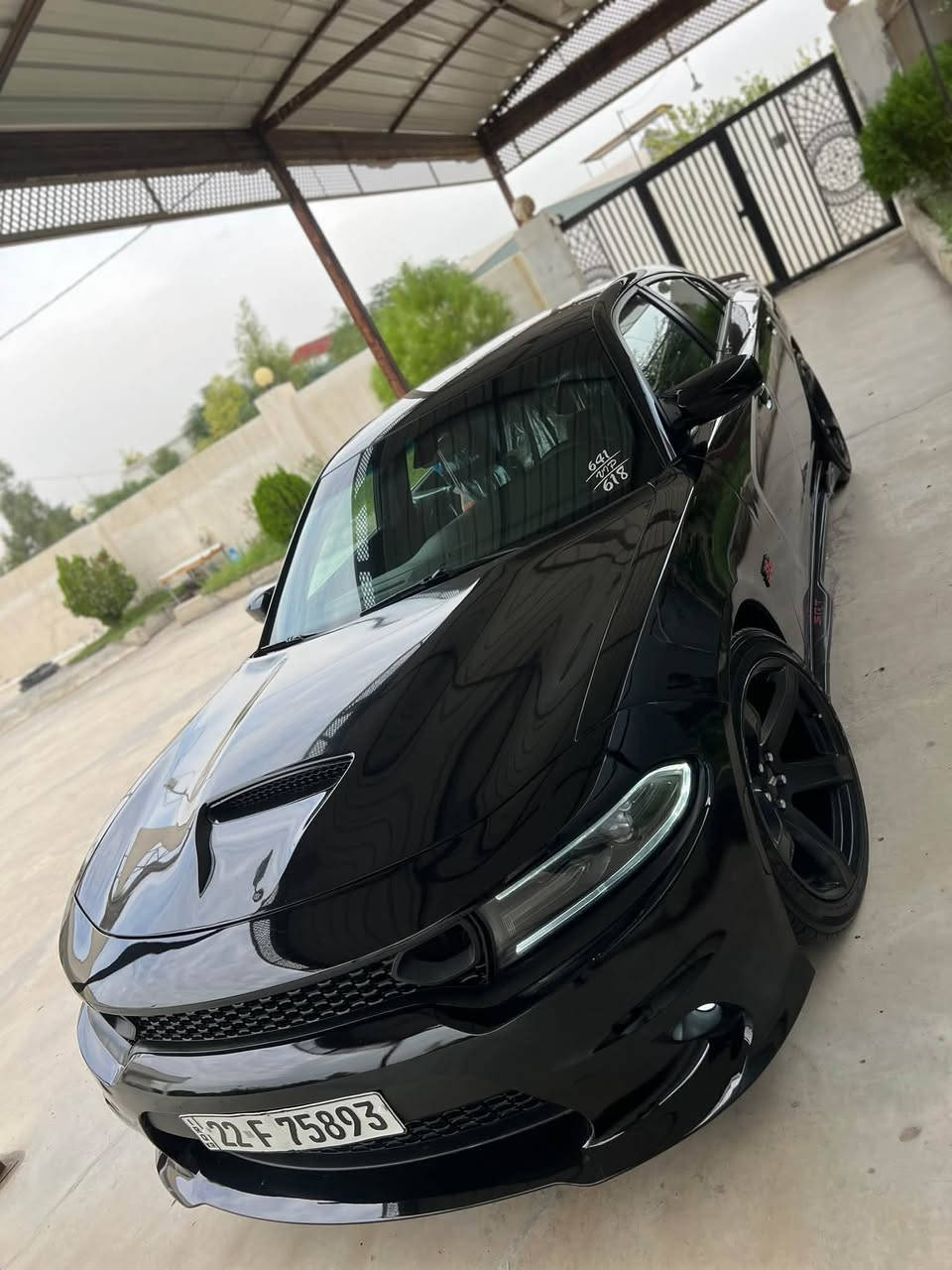تشارجر SXT • ٢٠١٩ • اربيل