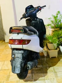 فراشه كرستال • فحل • دسك