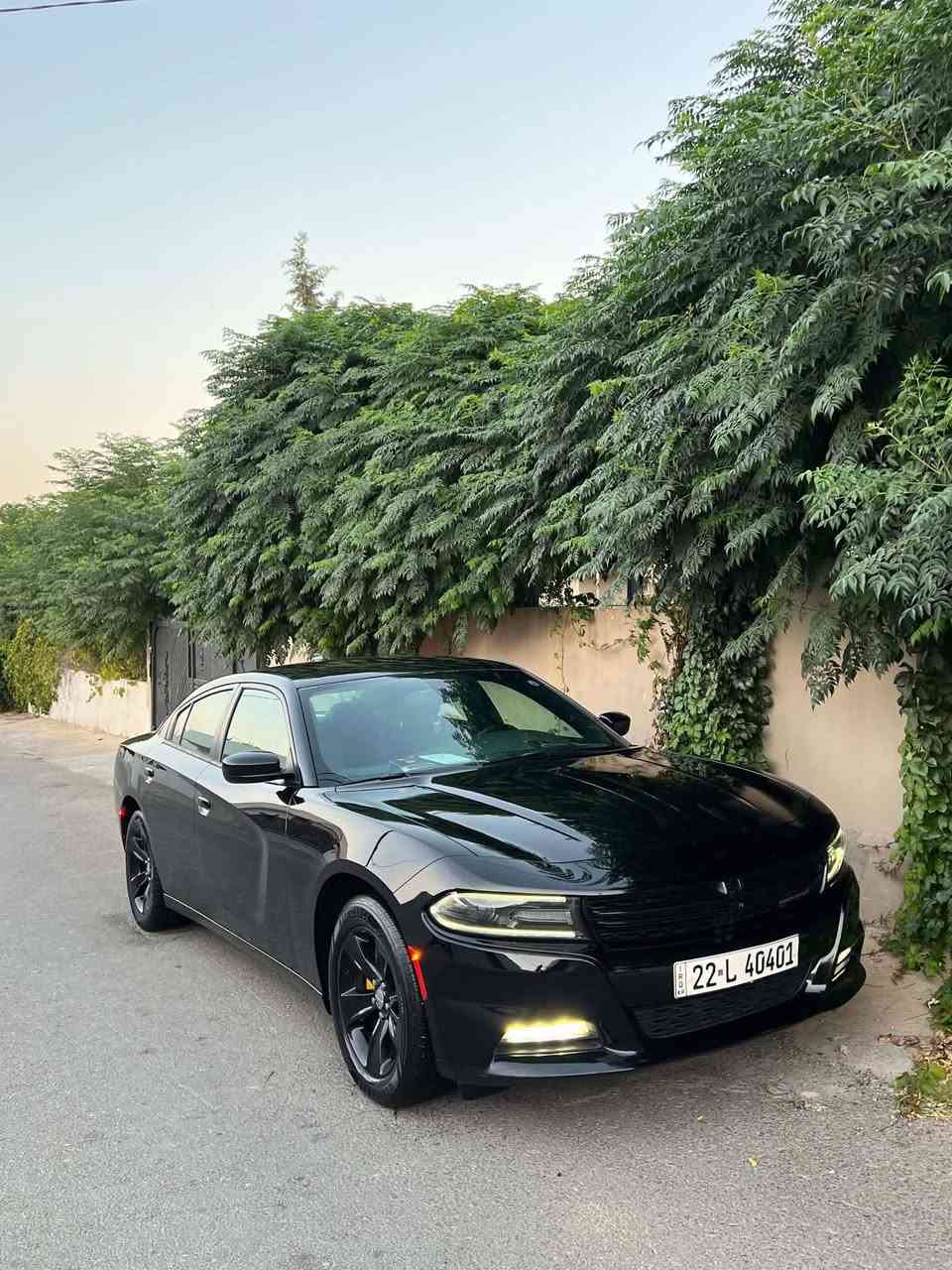 Dodge charger 2017  SXT
دوج چارجر ٢٠١٧ کلین تایتل
مواسەفات sxt
شاشەگەورە
بەصمە
شەخال
دەرگا بەصمە
کوشن کارەبا
حاسە
کامیرا
گێڕو مە کینەی بەشەرت نەکراوەتەوە
بێ بۆیاخو بێ ساردو بێ پارچە گۆڕانە تەنانەت دەعمیەکانیشی بە شەرت بۆیاخی نیە
هەموو گیانی بە شەرت
لە سەر دەقی شەریکە ماوە
دەعمی بۆ دەعمی بە شەرت
شوین سلیمانی 
***********
