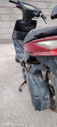 كهربايات • شغال • كايمه