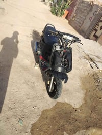 فراشه فحل • دسك • نقصه كفر