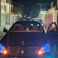 شاهينه • ٢٠٠٧ • مفحوصه