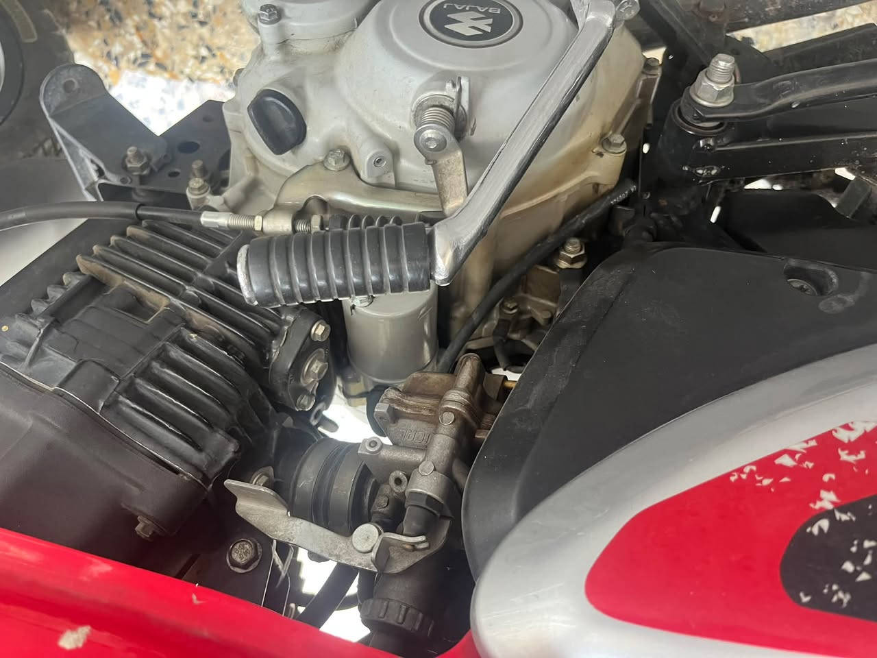 بوكسر ٢٠٢٣ نضيف سلف  مكينة مجفته بس ناعمه و قويه اوراقه موجوده السعر١٢٥٠ مكاني بغداد الحبيبيه رقمي***********
