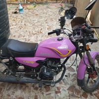 شاينك • ٢٠٢٧ • بالجيس