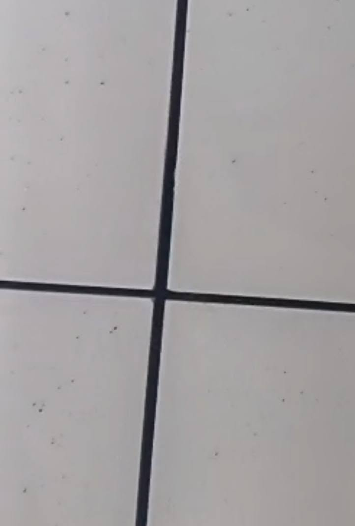 السلام عليكم كادر سيراميك متفرق حالياً 

المتر 6 الارضي 
المتر 7جداري 
الاستفسار اتصل ***********

#ادمن انجن عليك

نص مكتوب في الصور:
- 14/7/2025 11:32
- 10/6/2026 14:48