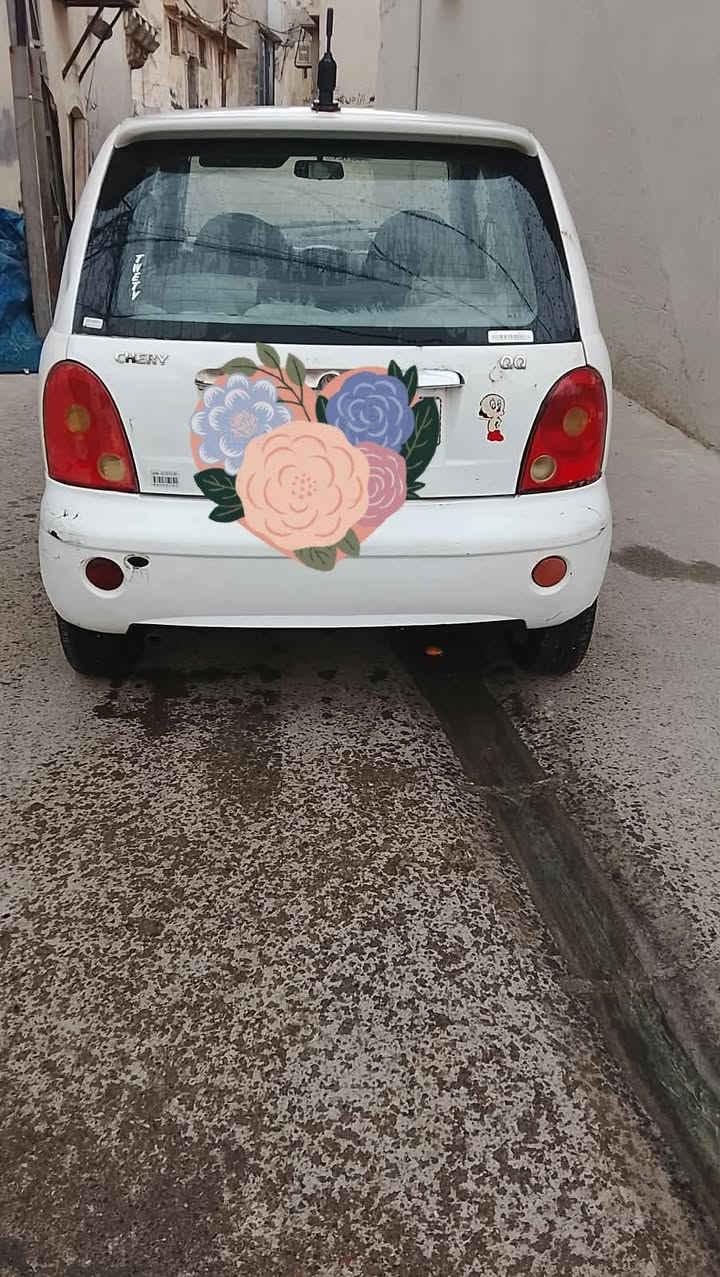 كوكو • ٢٠١٣ • رقم نينوى
