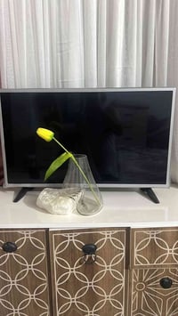 بلازما • بلجيس • الشعب