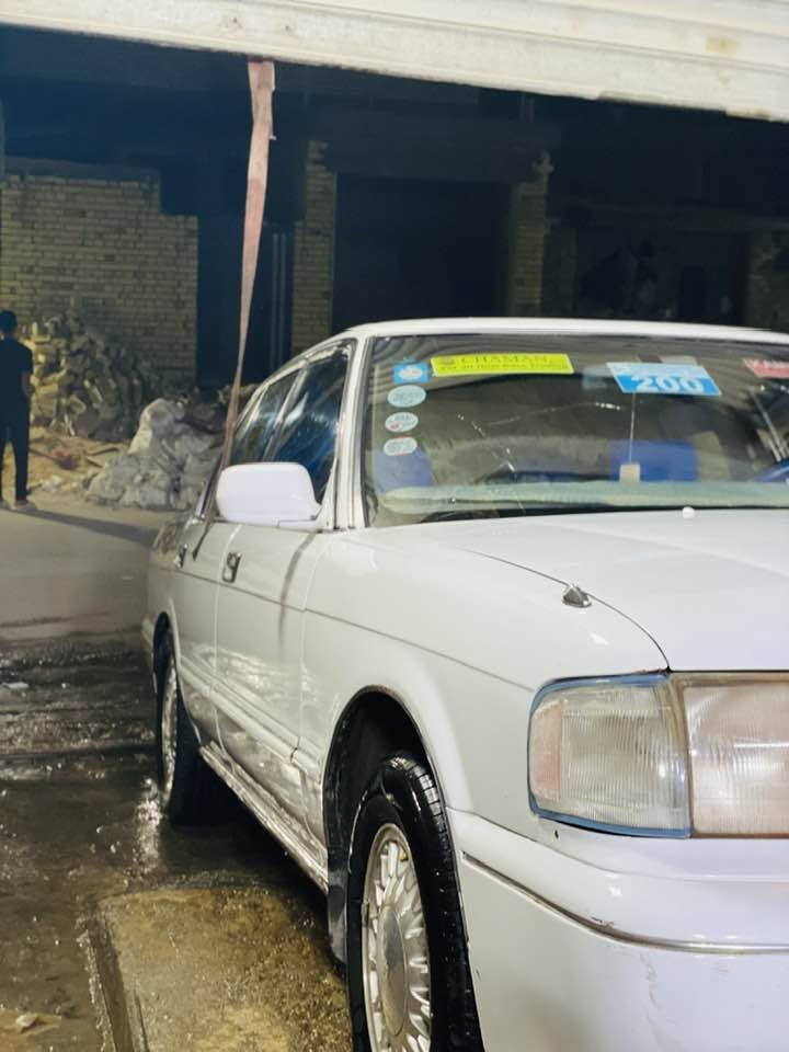 ١٩٩٣ • رقم انبار • صبغ جماليه
