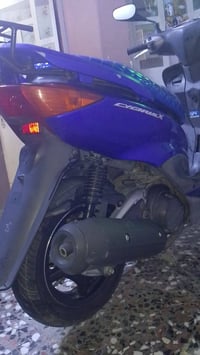 سكنس نثيه • ياباني • ١١٠