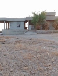 قريب محطة الرملي • واصلة كهرب ومية • حقل أبقار