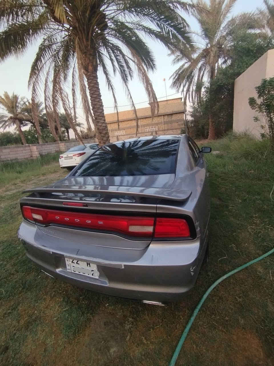 سلام عليكم
دوج جارجر متومه طبق الاصل اربيل اصليات وشرط الحاسبه 
(ارقام وسنويه اربيل نكليزي 22)
مكينه وكير وصدر وحداديه كفاله+ تخم تاير جديد. 

تبريد ثلج ثلج 🥶.     + تشغيل عن بعد

مثبت سرعه + سياقه ذاتيه + تحكات ستيرن مع مواصفات ماتخلص

لايتات زنون الاصلي ب 200 دولار 

ويل اصلي خليجي 

سياره جاهزه وجديده مال جناي وحلوه 

سعر 55$.   بيع او مراوس *********** وتساب وتصال
مكاني بابل
