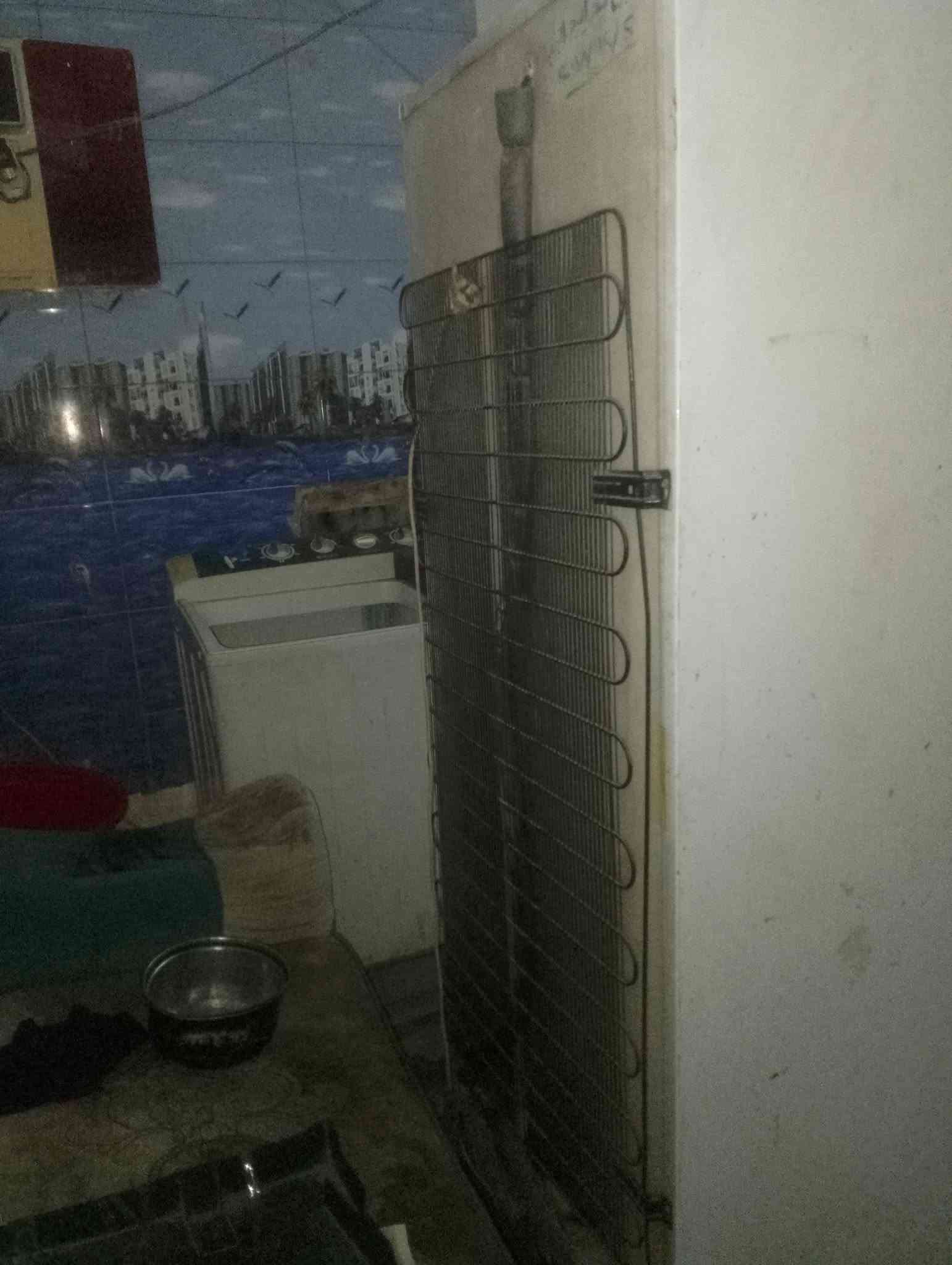 نجف • حي النصر • دراجة