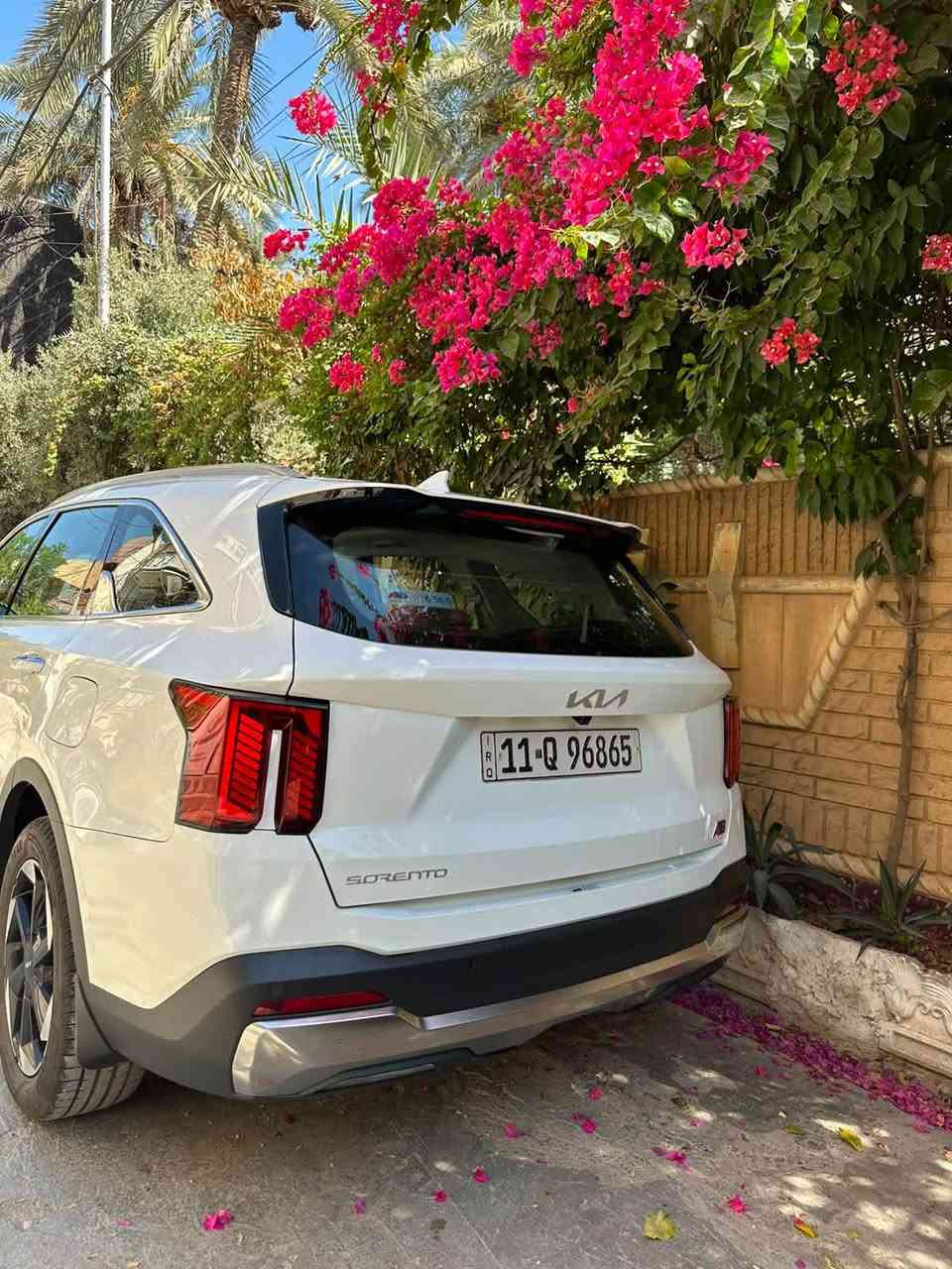سورنتو خليجي 2025 رقم بغداد ماشية 28 كفاله عامه فول سعر 315وبيه مجال
ديالى بعقوبه 
***********
