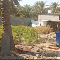نصف دونم • طابو سند ٢٥ • شارع بغداد كربلاء