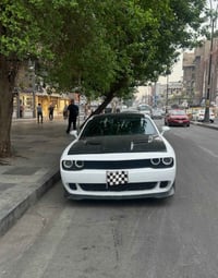 RT • موديل ٢٣ • بدون رقم