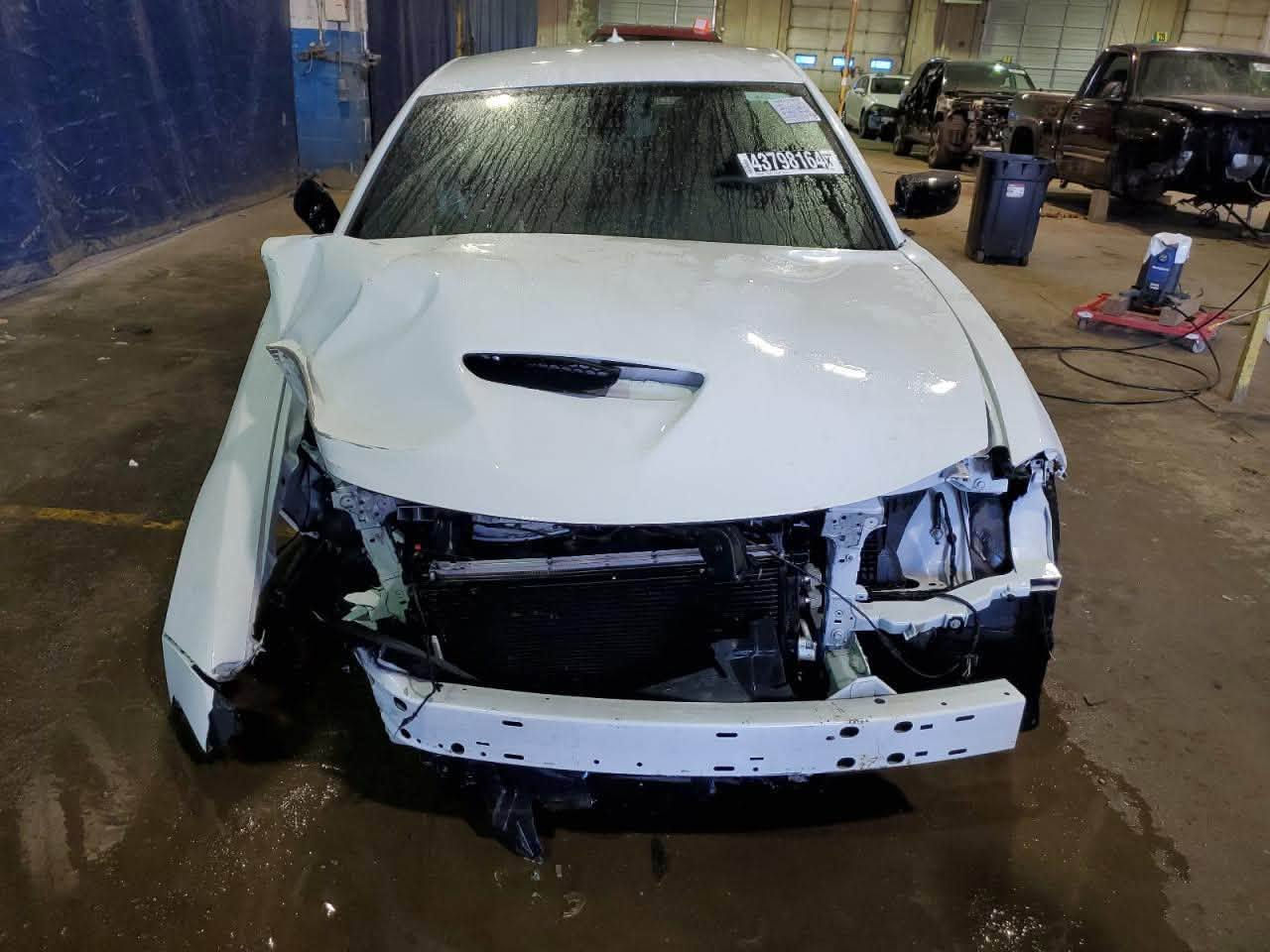 السلام عليكم 
جارجر موديل 23 GT بدون ارقام 
ماشية ٢٦ الف 
كشن حاضن 
سستم صوت البايين
حساسات خلفيه 
حادثها السياره 
حاملغ و بنيد من جهه الصدر 
بيها لغد فقط
السياره ناصبه و كاعده تخبل 
مكاني بغداد 
رايدها ب١٩ $ و بيها مجال بسيططط 
شارع المغرب 
***********

نص مكتوب في الصور:
- 43798164