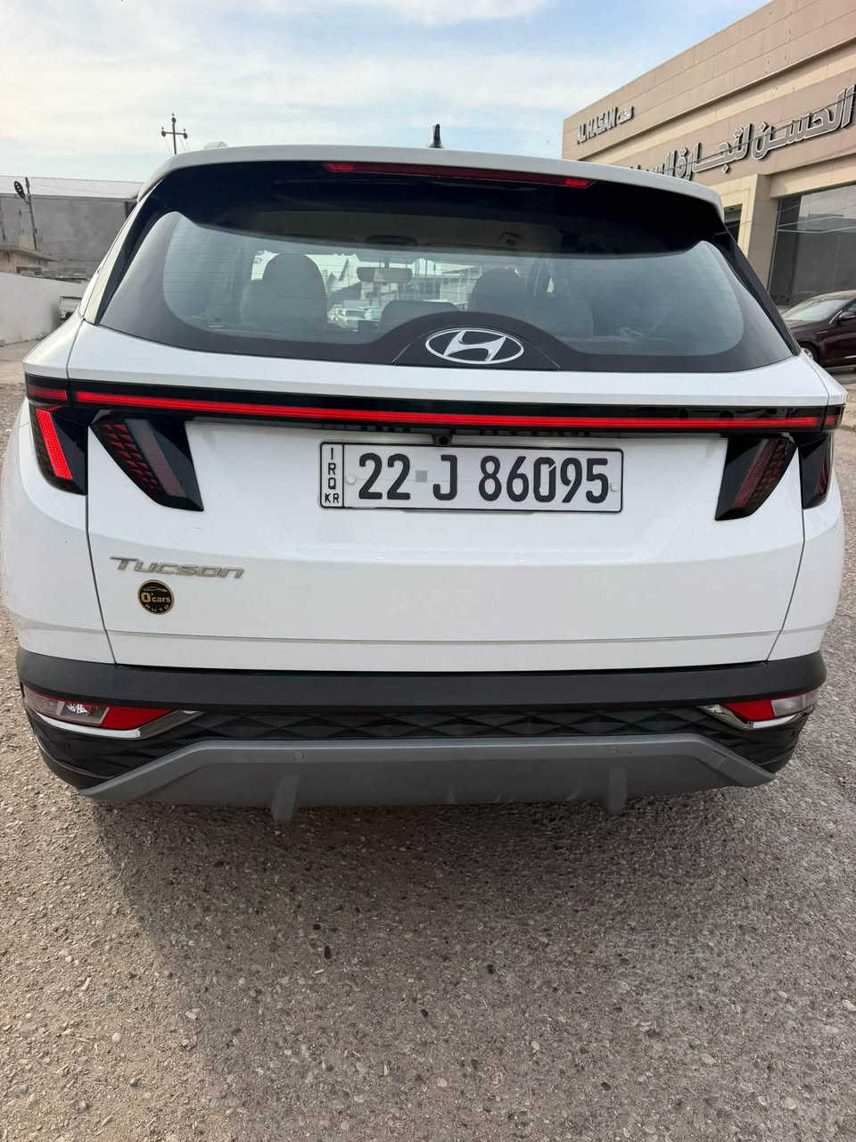 توسان ٢٠٢٤ • فول • رقم اربيل