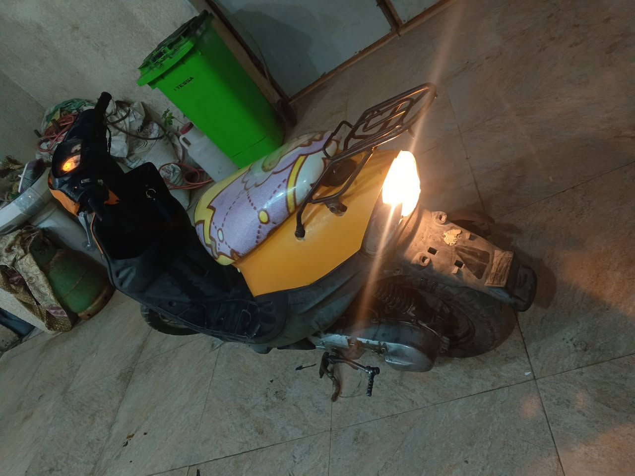 بيجي • شغاله • كوت داموك