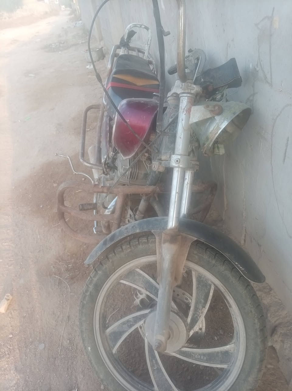 جونده