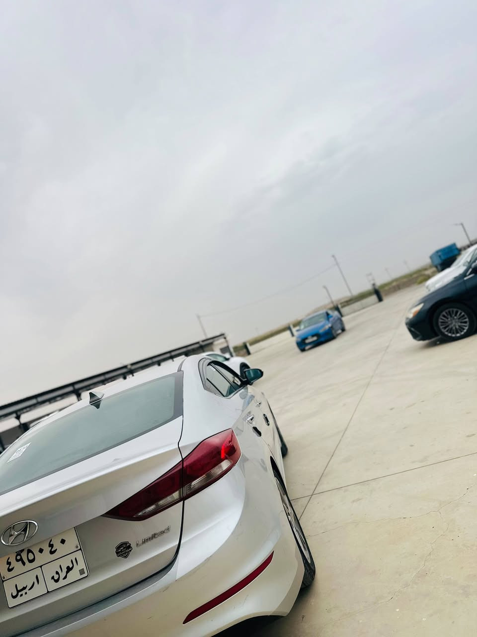 الانترا • ٢٠١٧ • رقم اربيل
