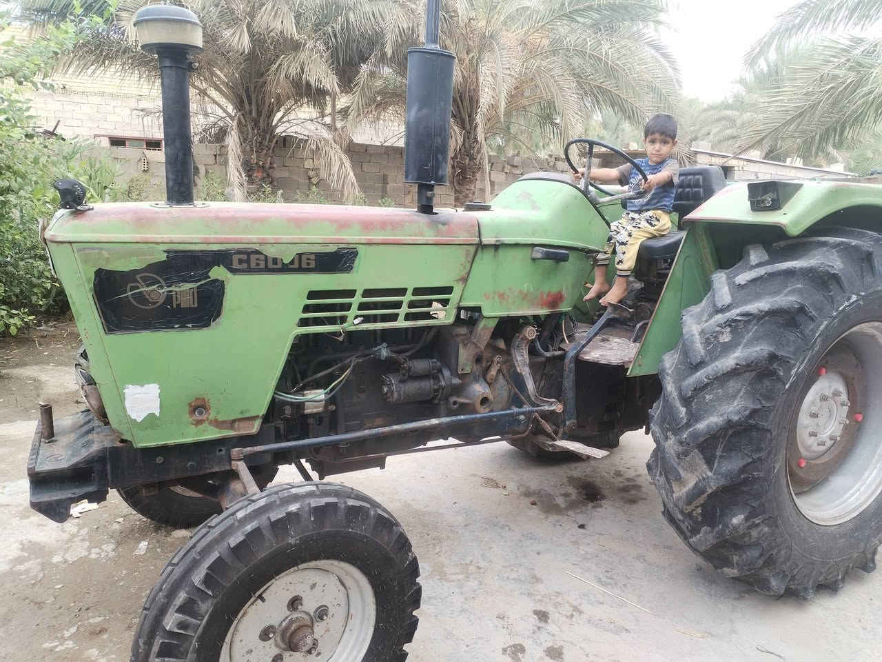 واسط • عجلة