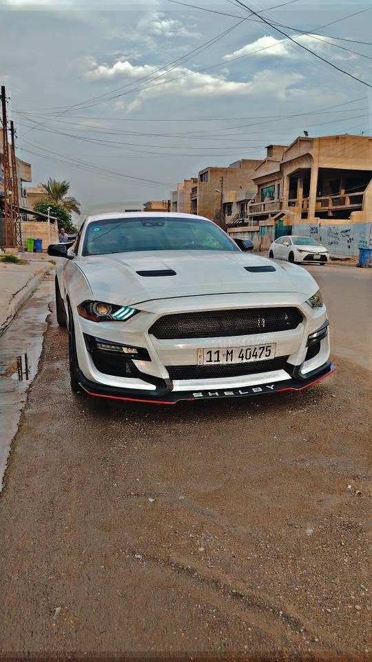 موستنك GT • ٥.٠ V8 • ١٥ ألف كم