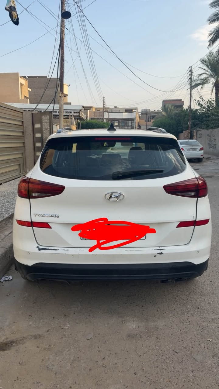 توسان ٢٠١٩ • رقم اربيل • مصلحة بدون صبغ