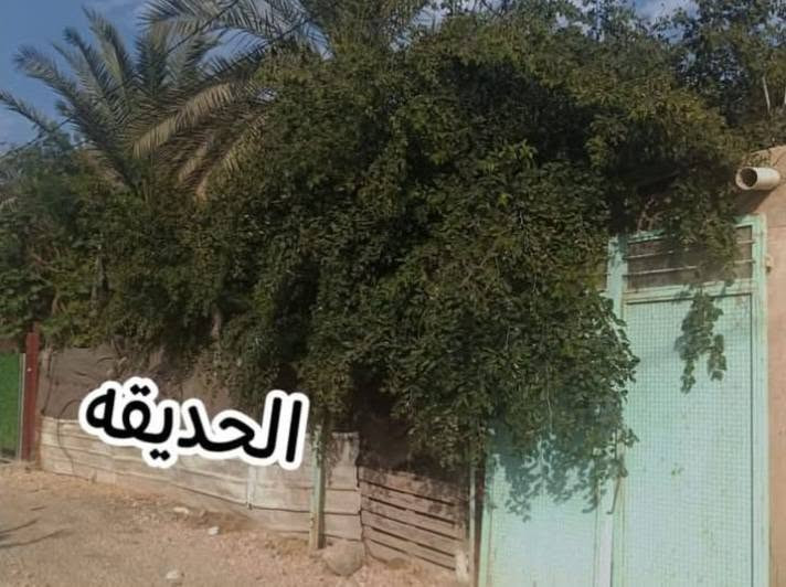 اعادة نشر للبيع
