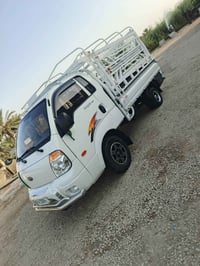 ٣٠٠٠ • ٢٠٠٨ • بابل حمزه الغربي