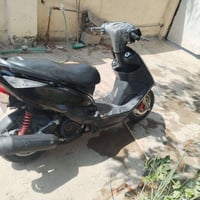 سكنس ثعلب • جديده • مكفوله